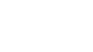 Audi-Emblem